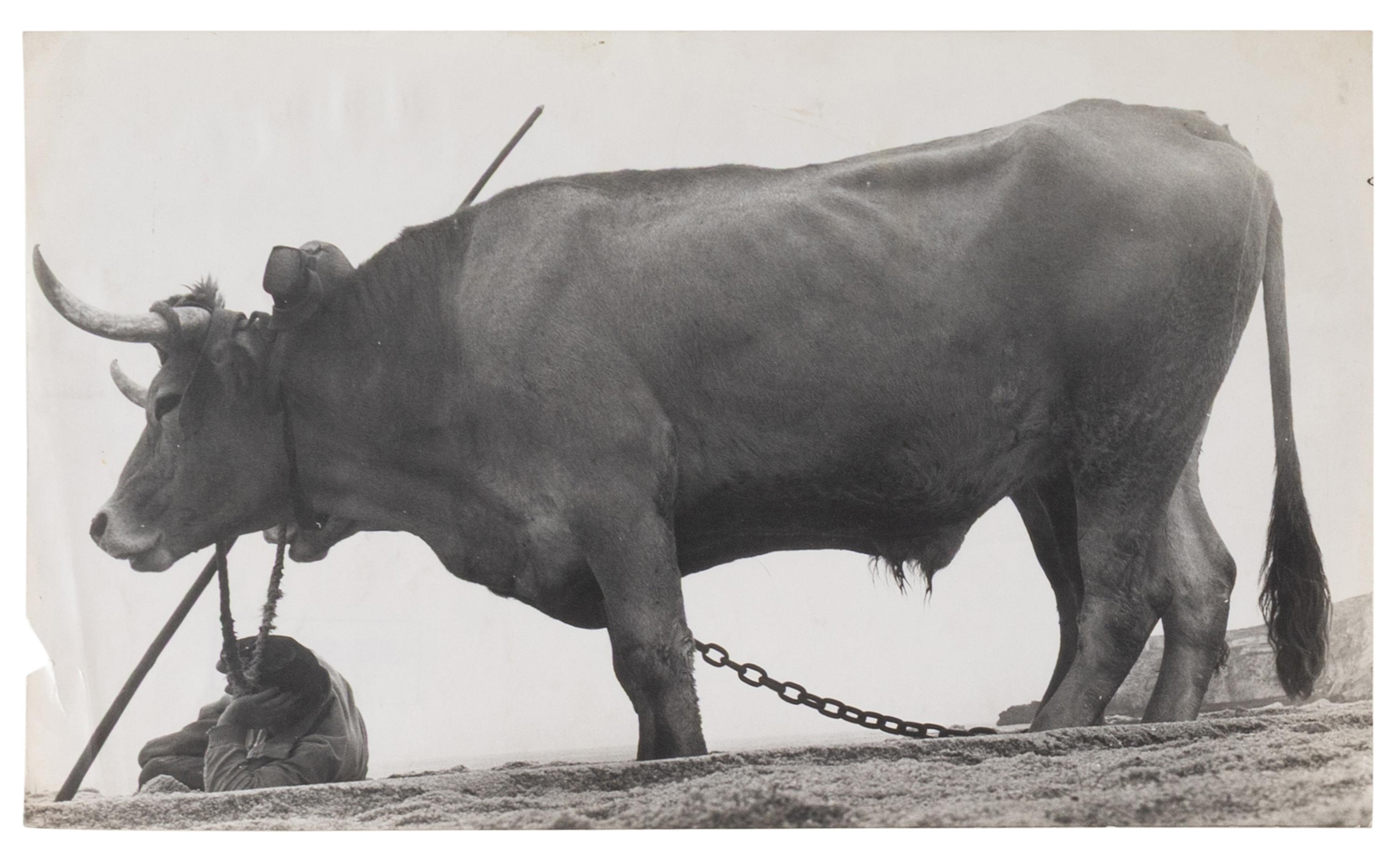 Four Works, 1960s