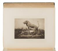 [Travel & Exploration] Pease, Alfred Edward, Sir (1857-1939). Travel & Sport in Africa. London: Arthur L. Humphreys, 1902.