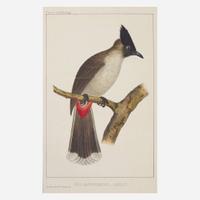 [Americana] [Perry, Commodore Matthew C.] Hawks, Francis L. Narrative of the Expedition of an American Squadron to the China Seas and Japan, Performed in the Years 1852, 1853, and 1854, Under the Command of Commodore M.C. Perry, United States Navy...