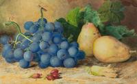 Still Life of Fruit