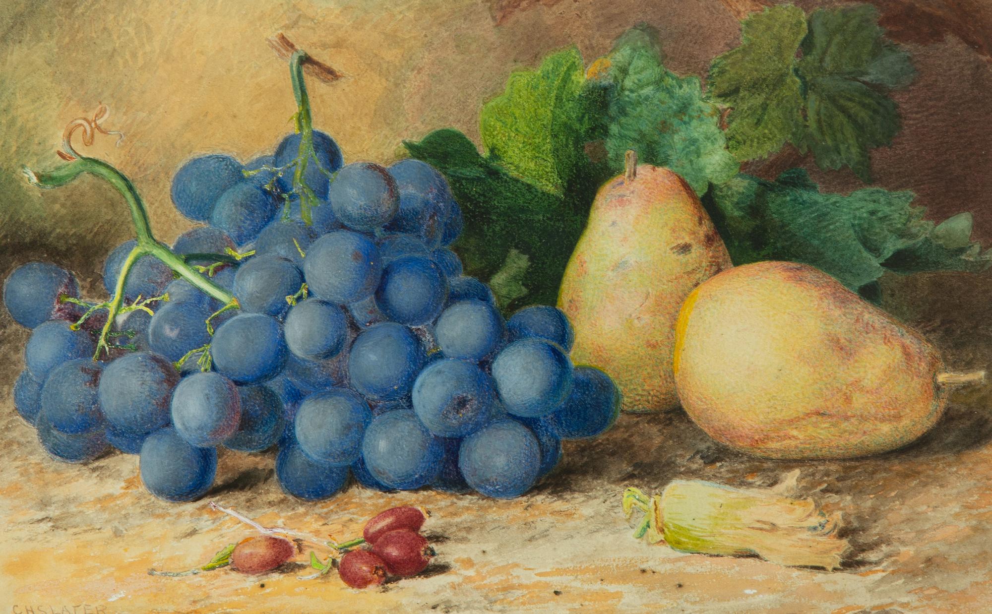 Still Life of Fruit