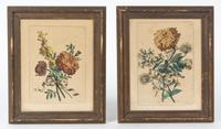 After Jean Baptiste Monnoyer, , Two Botanical Prints