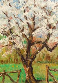 Au printemps, pommier en fleurs