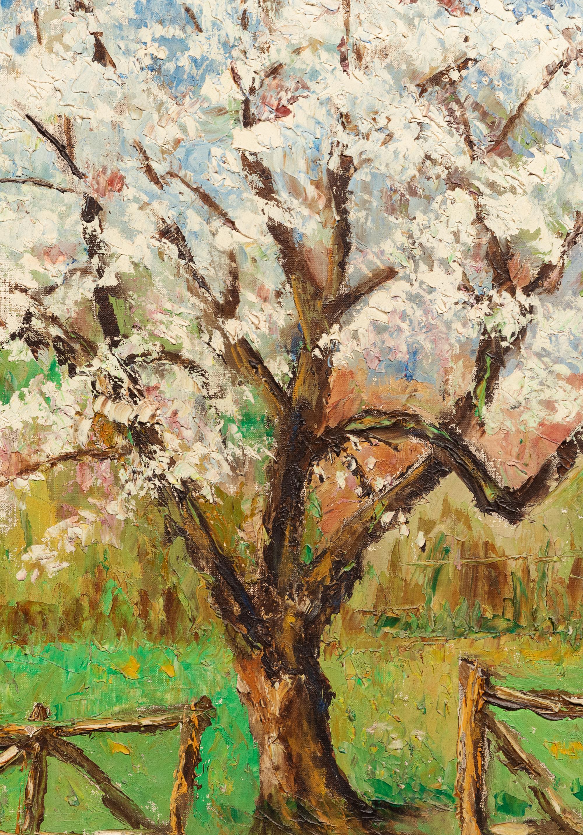 Au printemps, pommier en fleurs