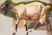 Attributed to Sir Edwin Henry Landseer, (British, 1802-1873), Goat
