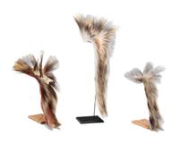 Plains Hair Roaches