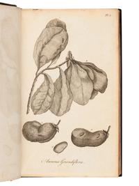 BARTRAM, William (1739-1823). Travels through North and South Carolina, Georgia, East and West Florida… London: J. Johnson, 1794.