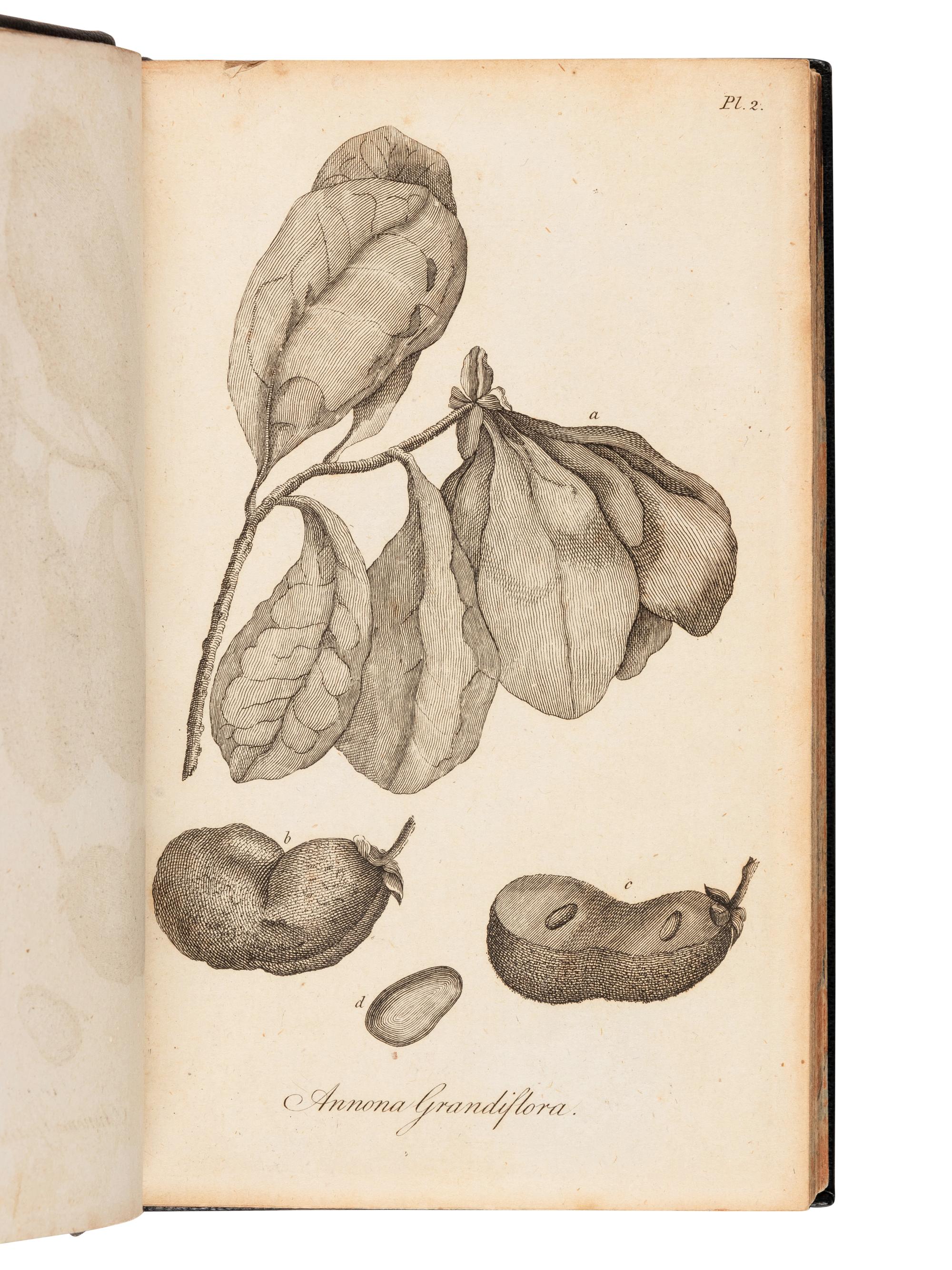 BARTRAM, William (1739-1823). Travels through North and South Carolina, Georgia, East and West Florida… London: J. Johnson, 1794.