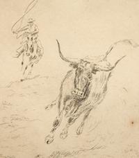 Cowboy Roping Steer