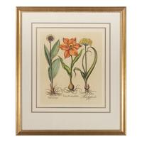 A Group of Three Prints