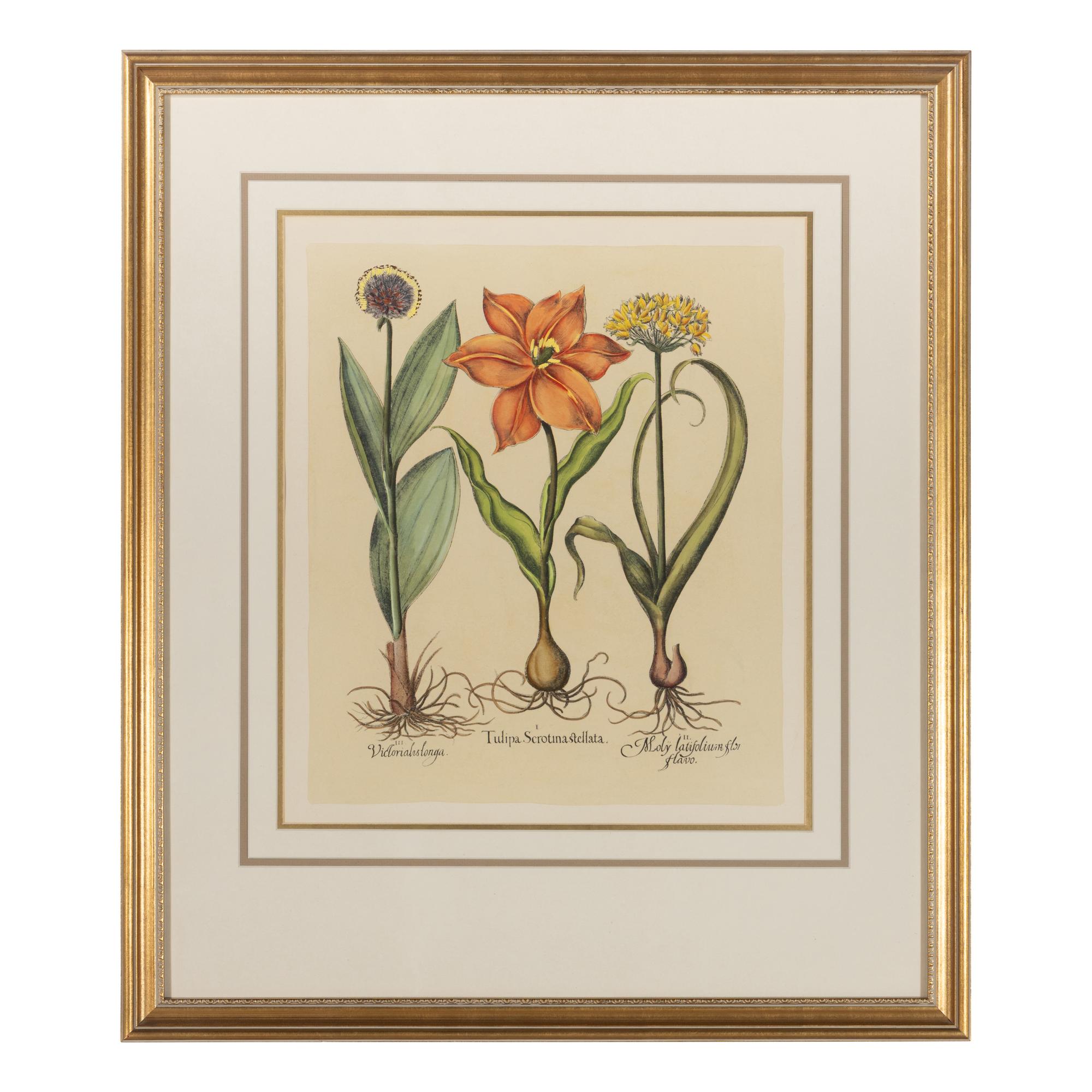 A Group of Three Prints