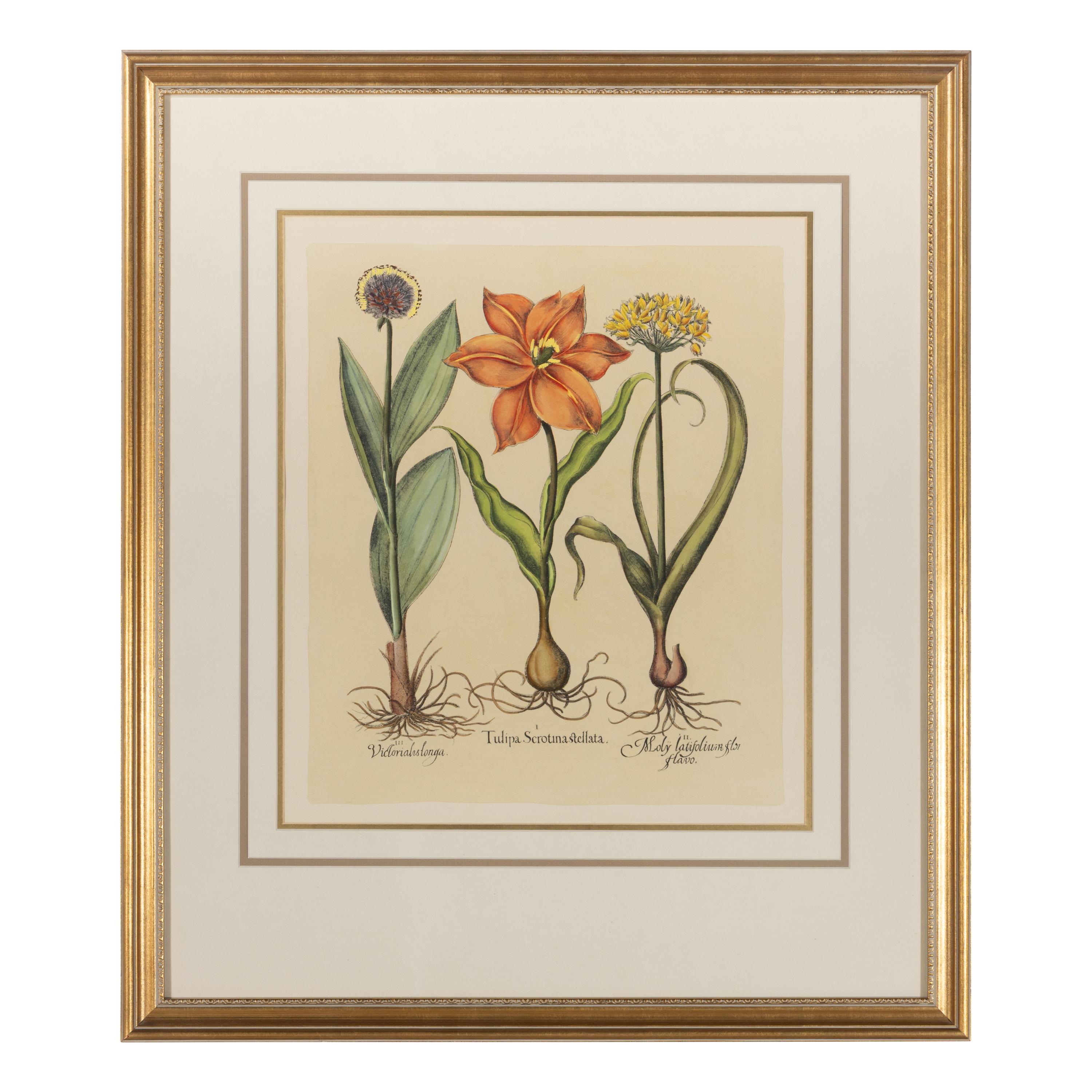A Group of Three Prints