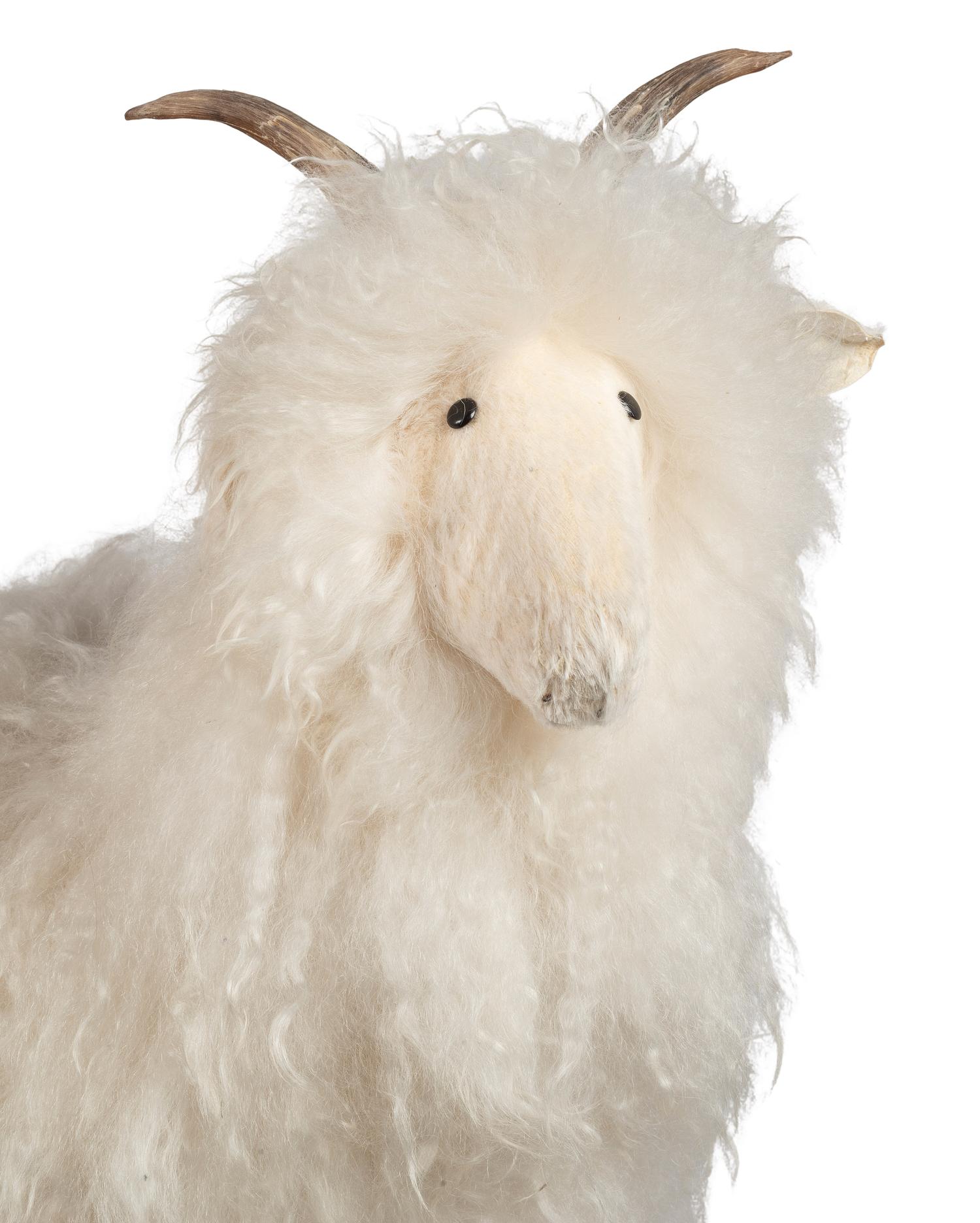 untitled, sheep