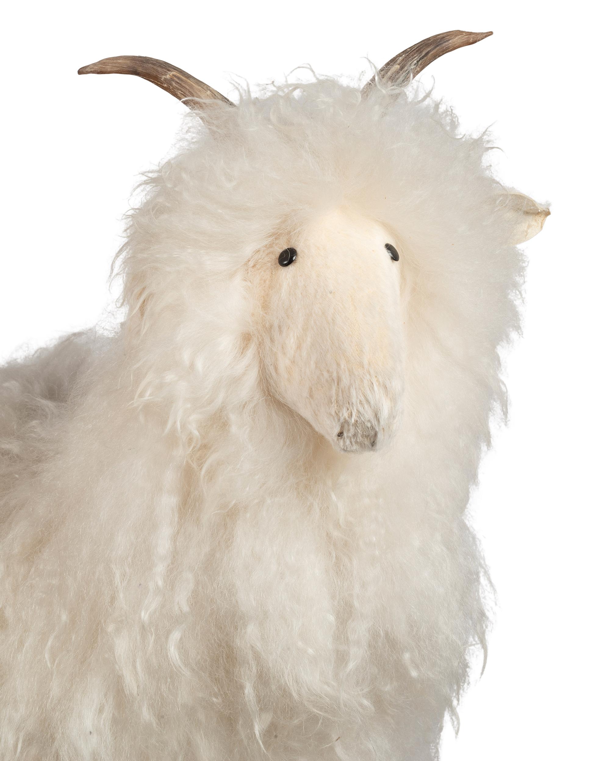 untitled, sheep