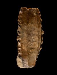 A Paleolithic Flint Core
