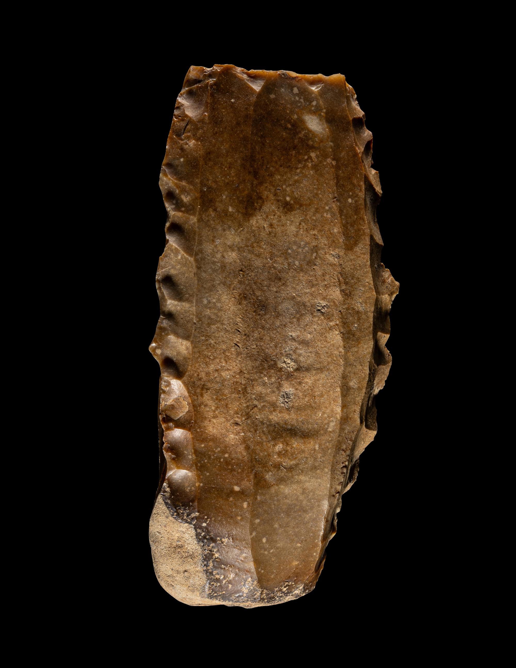 A Paleolithic Flint Core