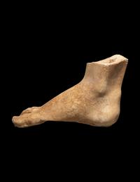 A Roman Marble Right Foot From a Statue