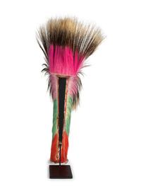 Plains Porcupine Hair Roach