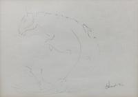 Fallen Horse, 1952