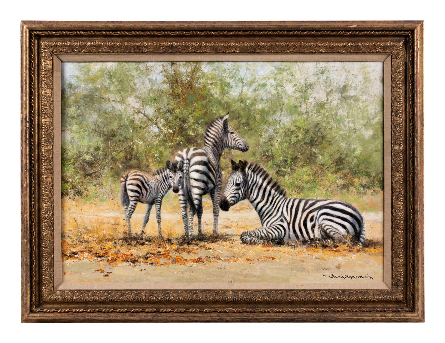 Three Zebras