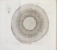 (BOTANY) GREW, NEHEMIAH. The Anatomy of Plants. London, 1682. First edition.