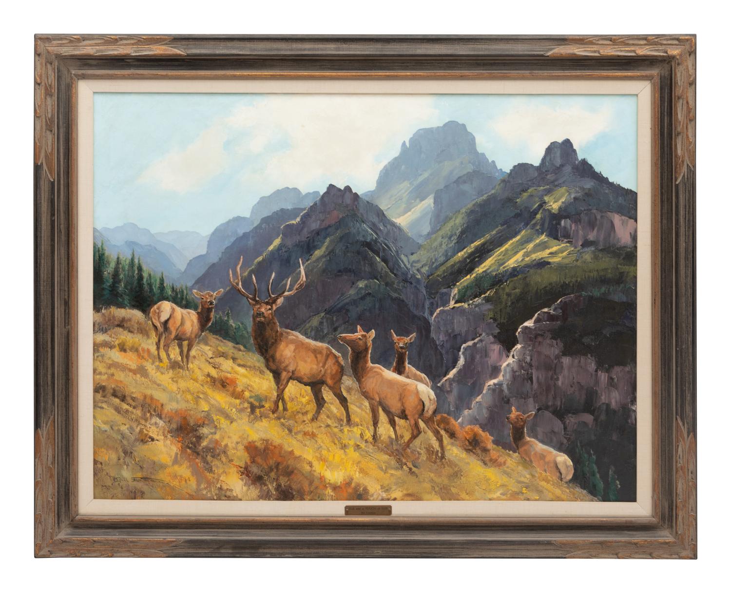 Elk and a Touch of Sun