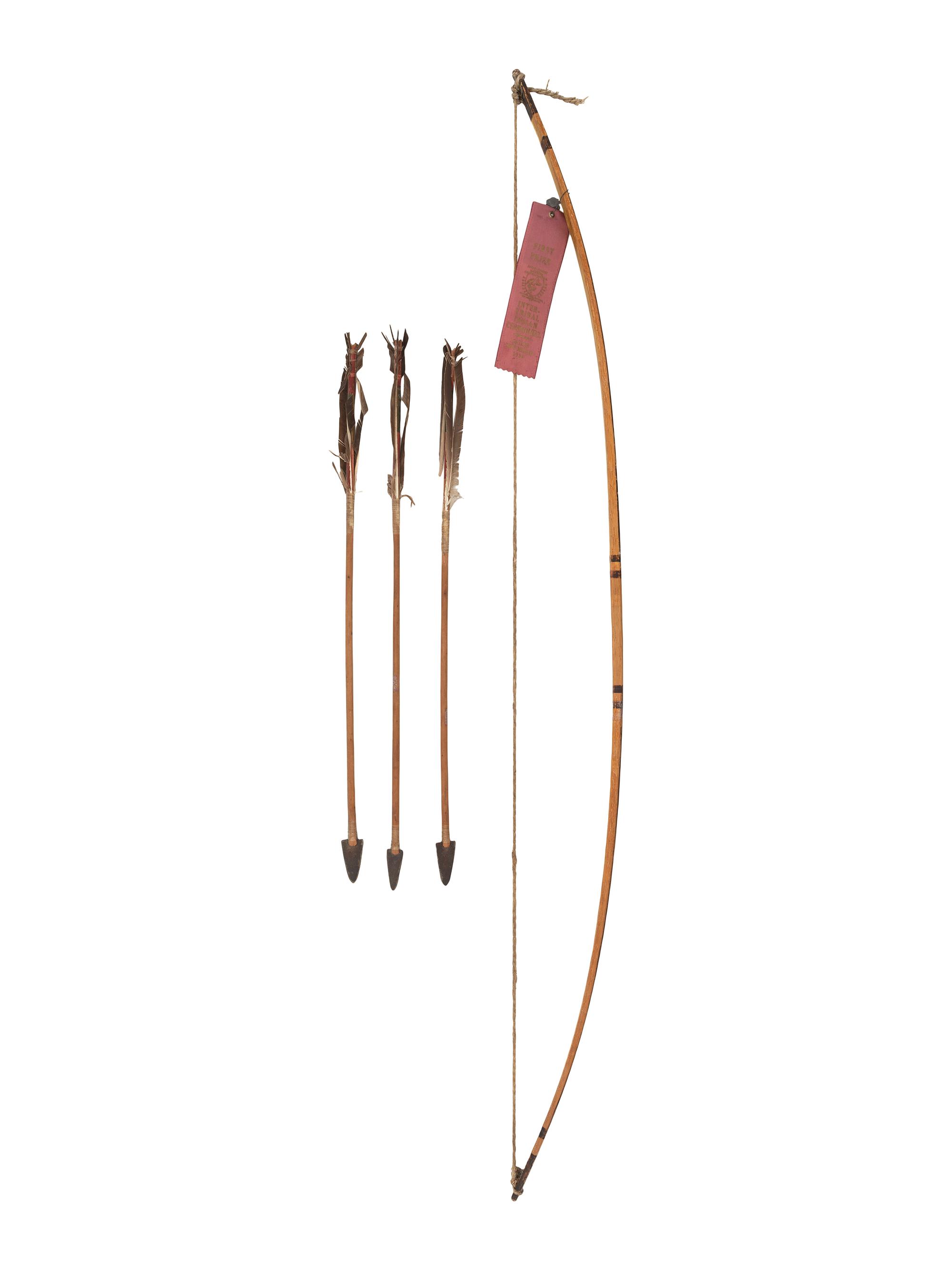 Award Winning Plains Painted Bow and Arrow Set