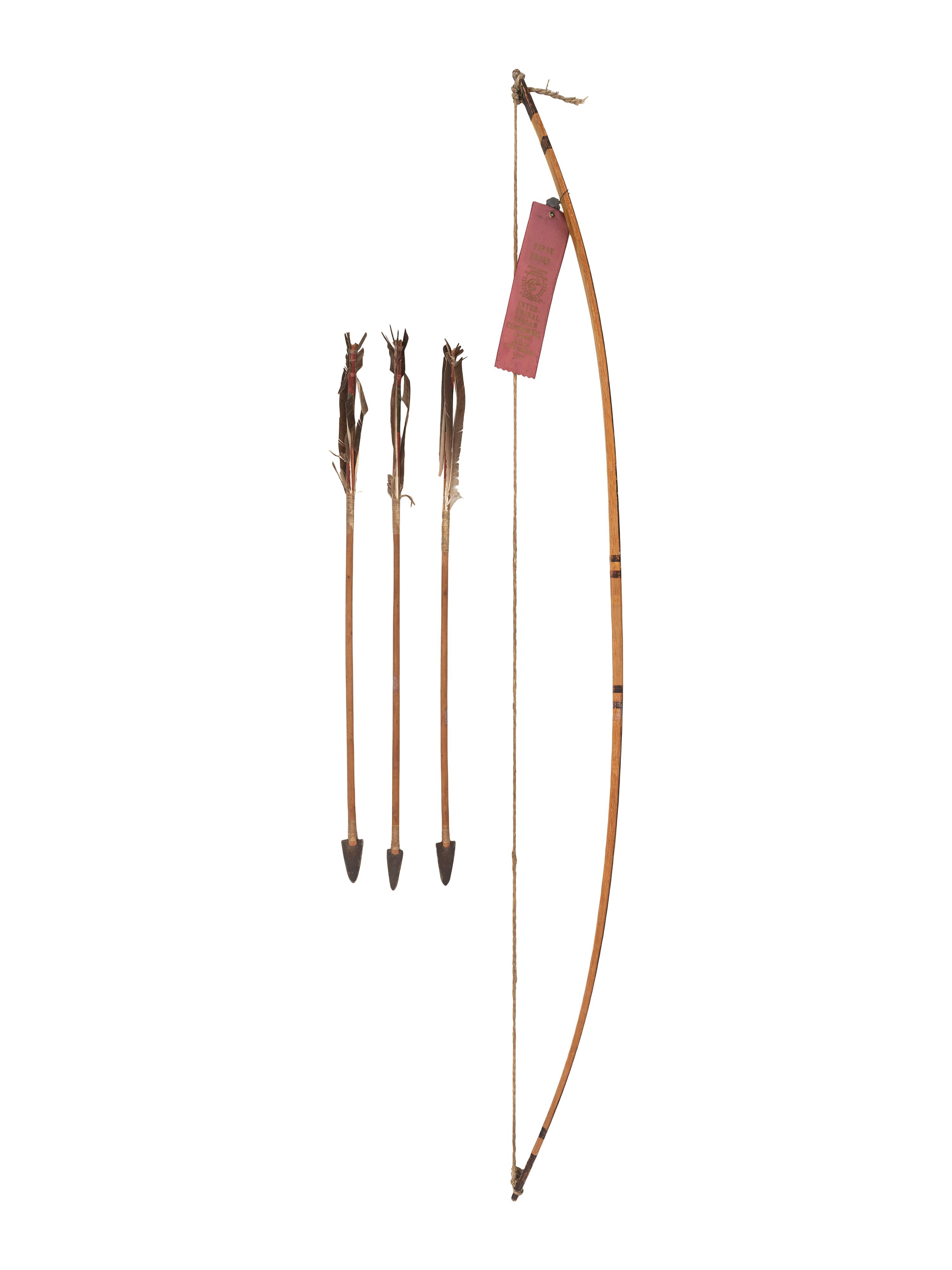 Award Winning Plains Painted Bow and Arrow Set