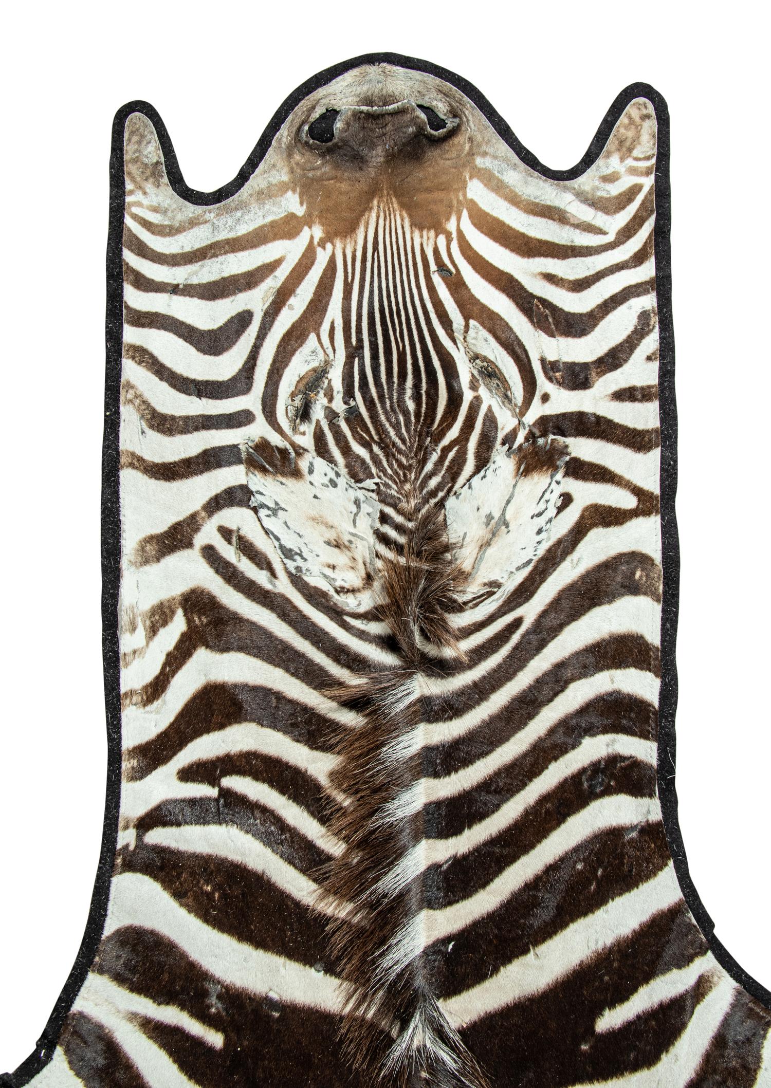 A Zebra Hide Rug