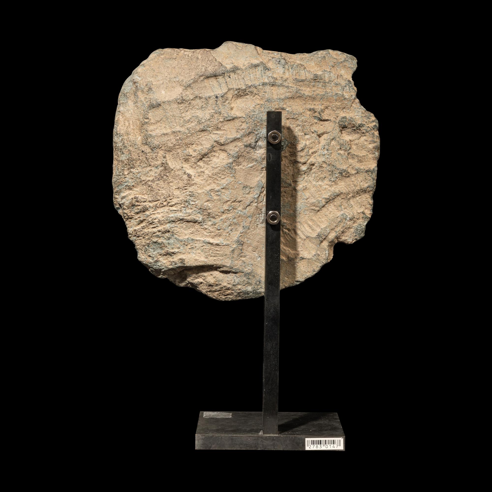 A Gandhara Grey Schist Head of Buddha, 2rd-4th Century 二-四世紀 犍陀羅灰片岩雕佛頭