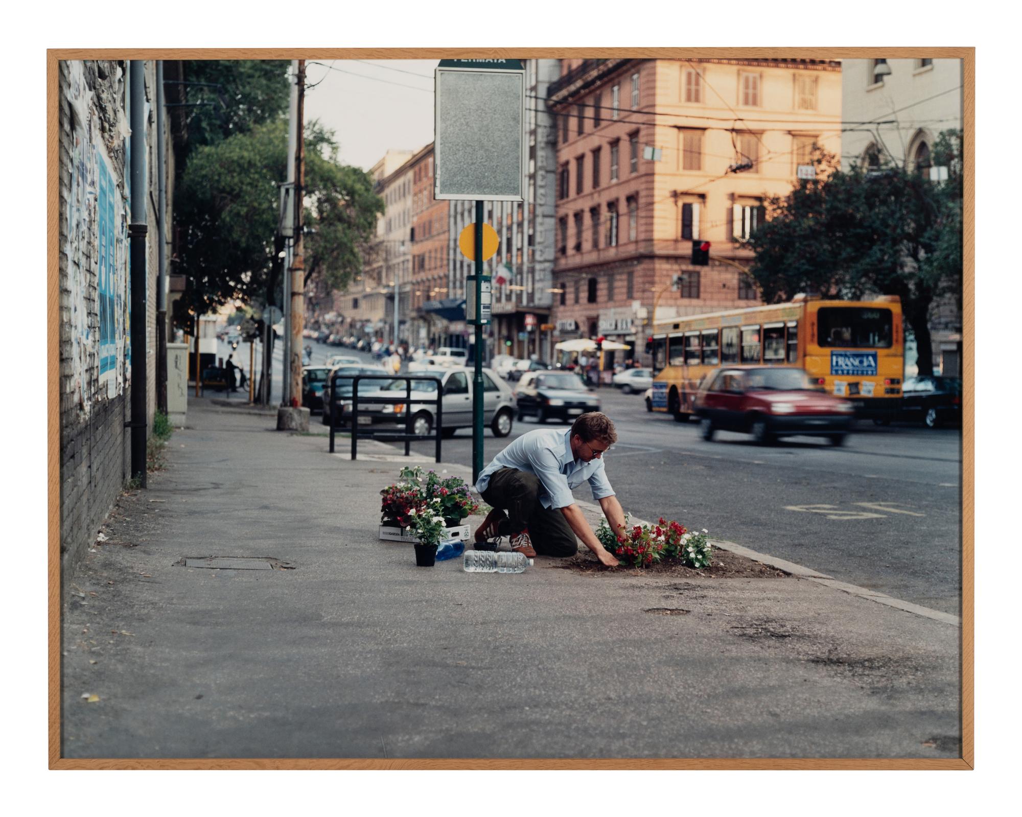 needs (Rome)
