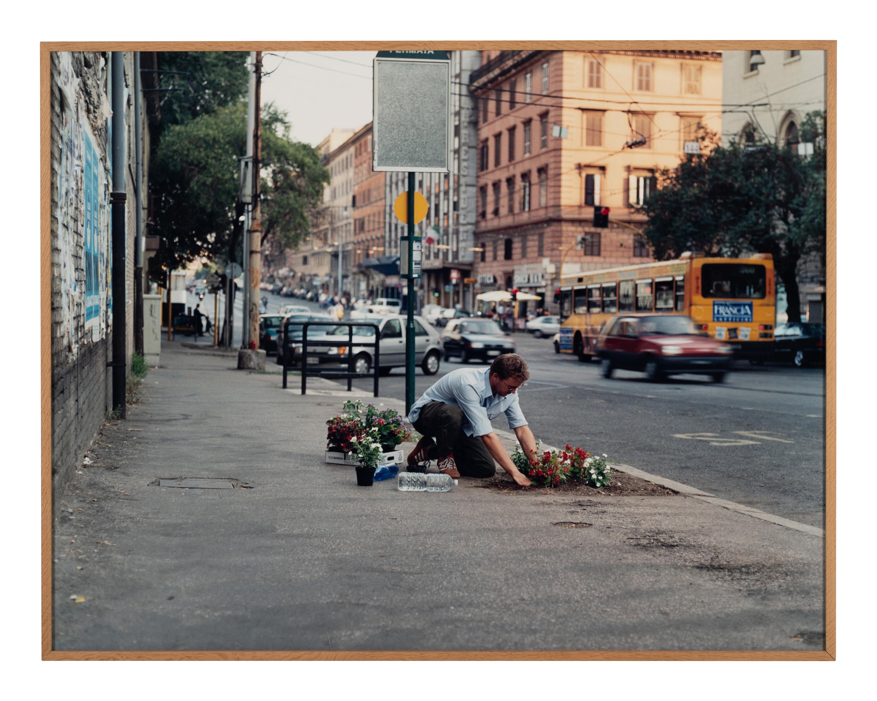 needs (Rome)