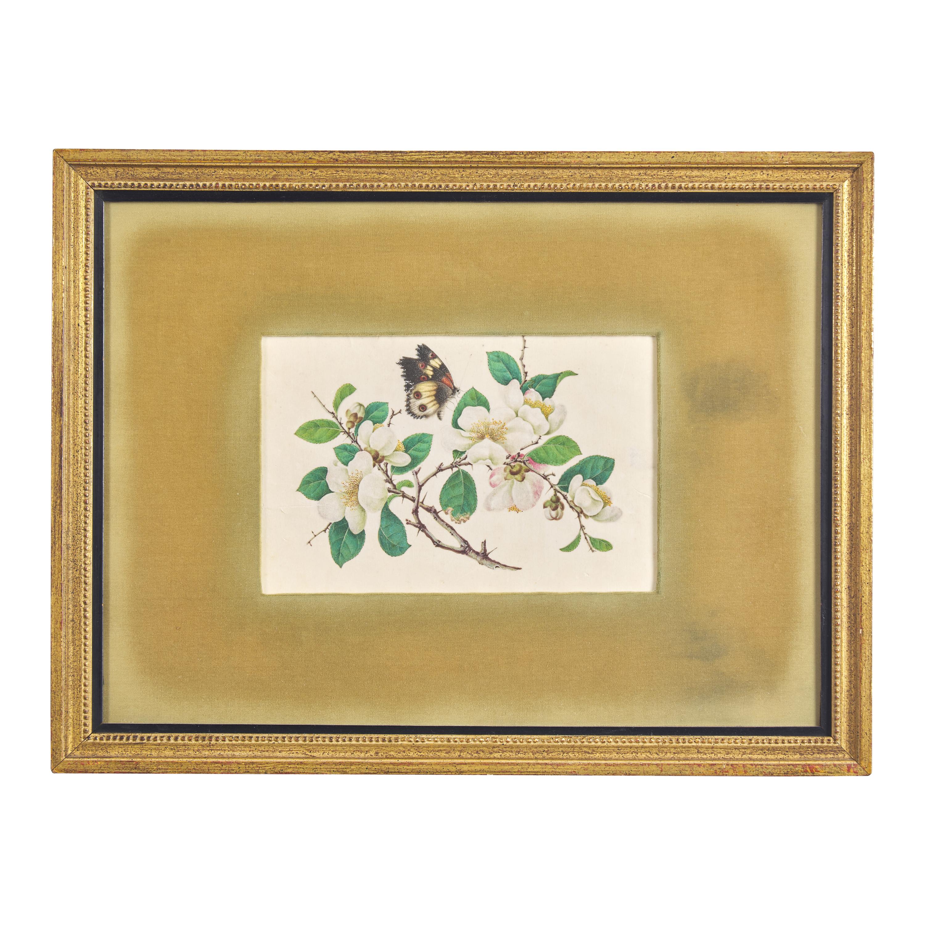 Four Chinese Pith Paintings, Late 19th-Early 20th Century 清晚期 通草畫四幅