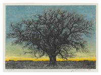 Hoshi Joichi, (1913-1979), Black Tree