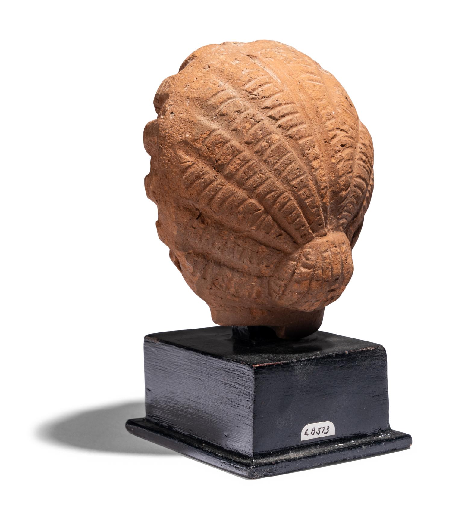 A Roman Terracotta Head of a Female with Melon Coiffure