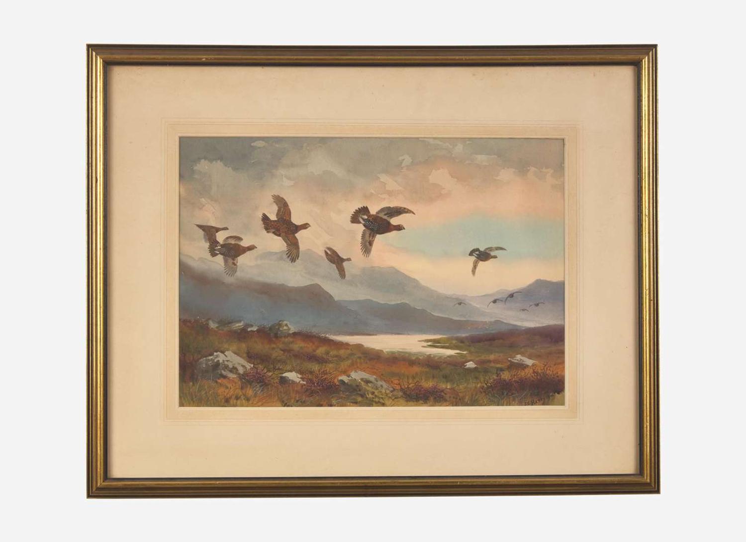 Grouse on the Moor