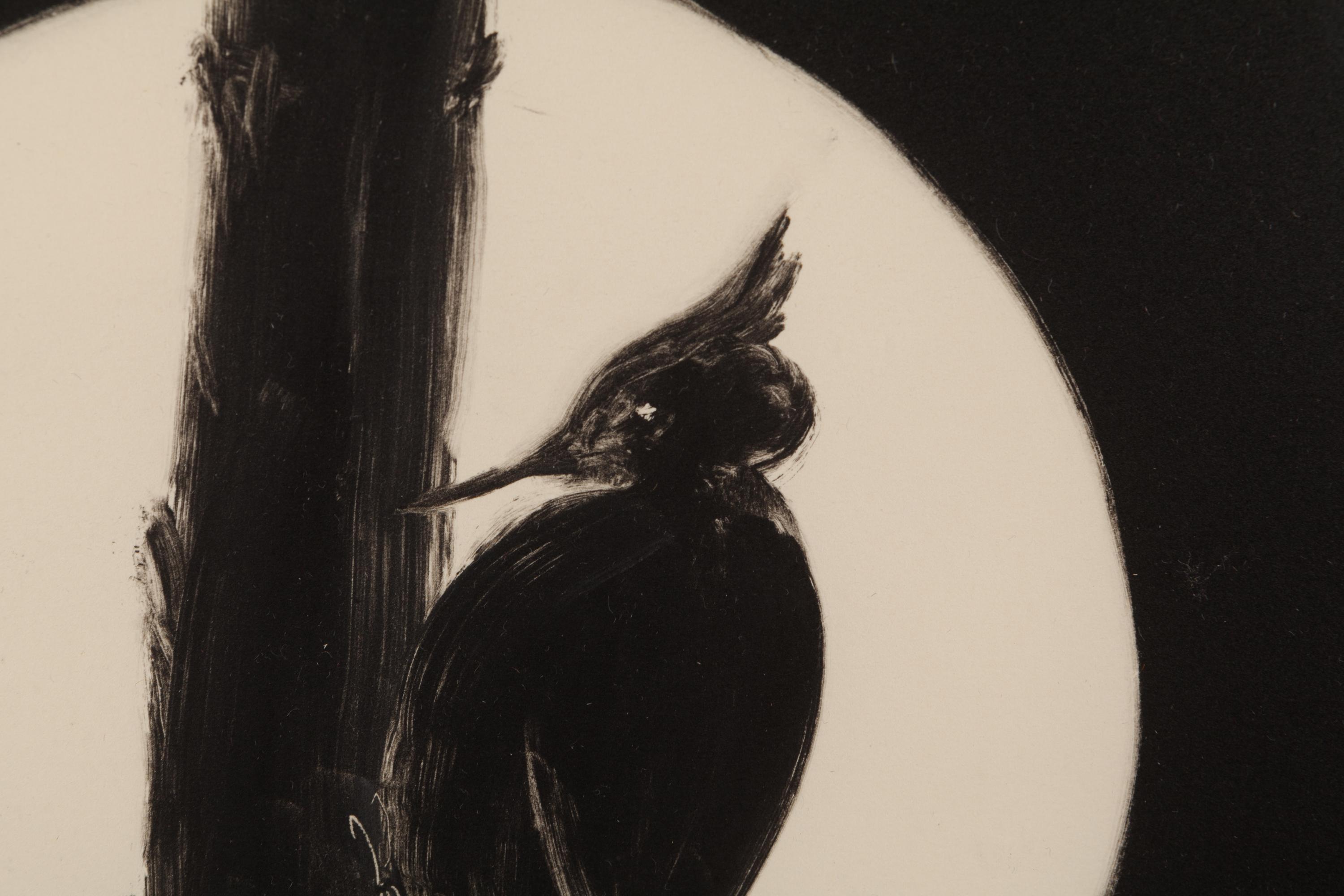 Untitled (Woodpecker)