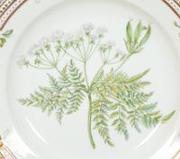 Twelve Royal Copenhagen Flora Danica Porcelain Dinner Plates