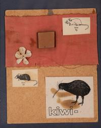 Two Mice and a Kiwi