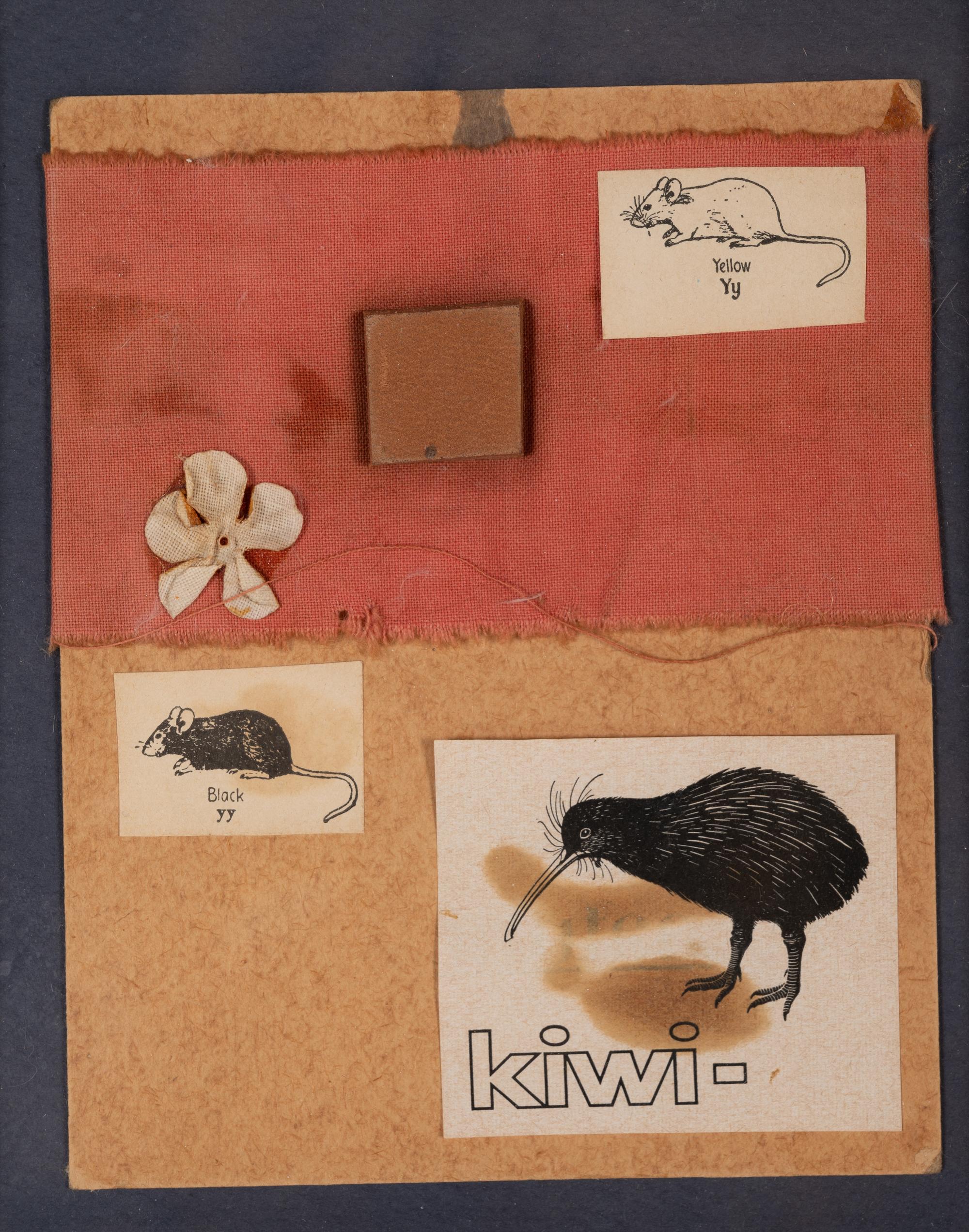 Two Mice and a Kiwi