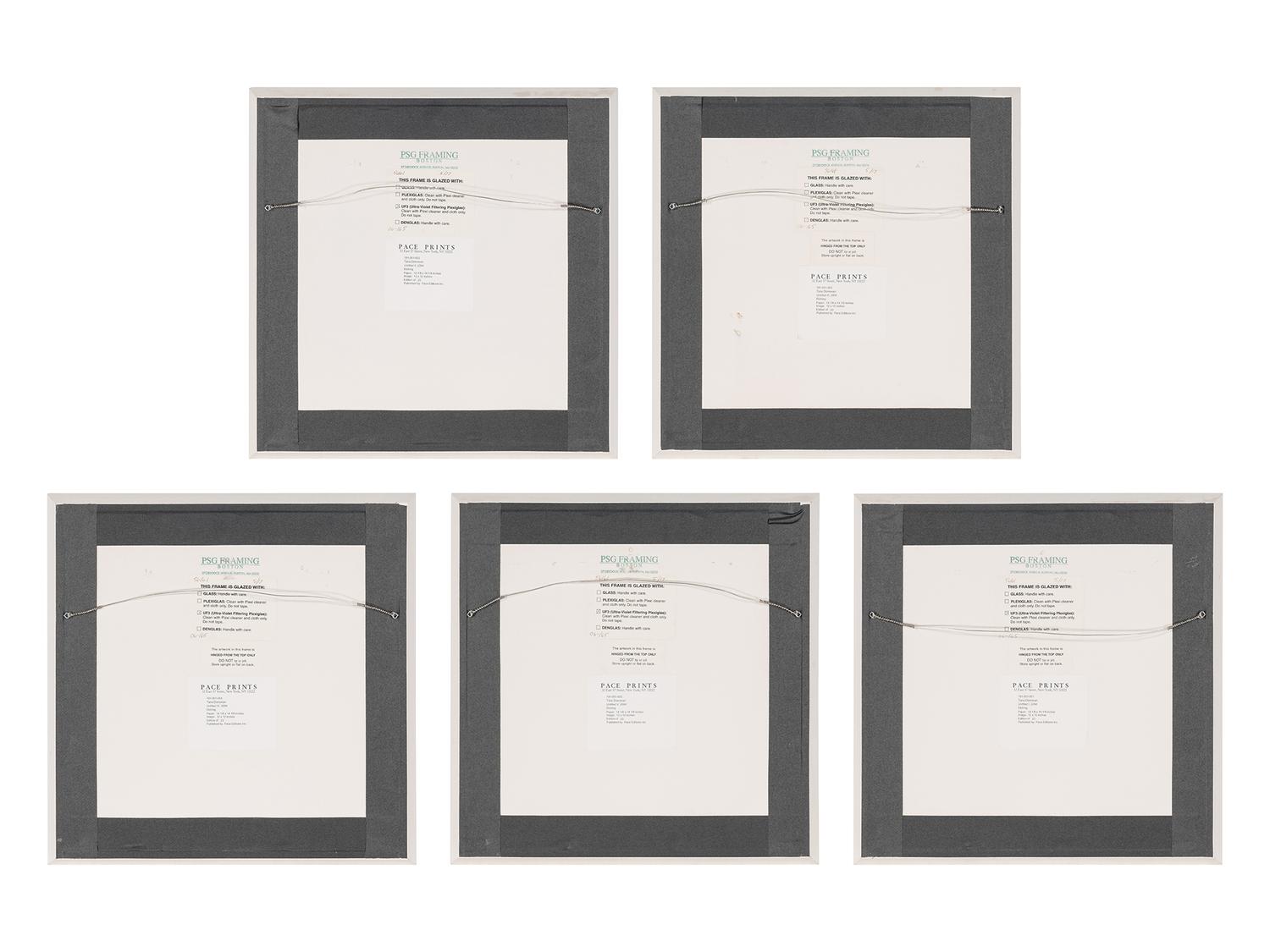 Untitled 1-V (complete set of 5), 2004