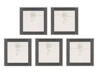 Untitled 1-V (complete set of 5), 2004
