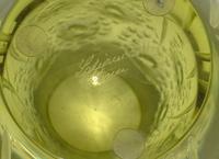 Two Lalique Glass Vases