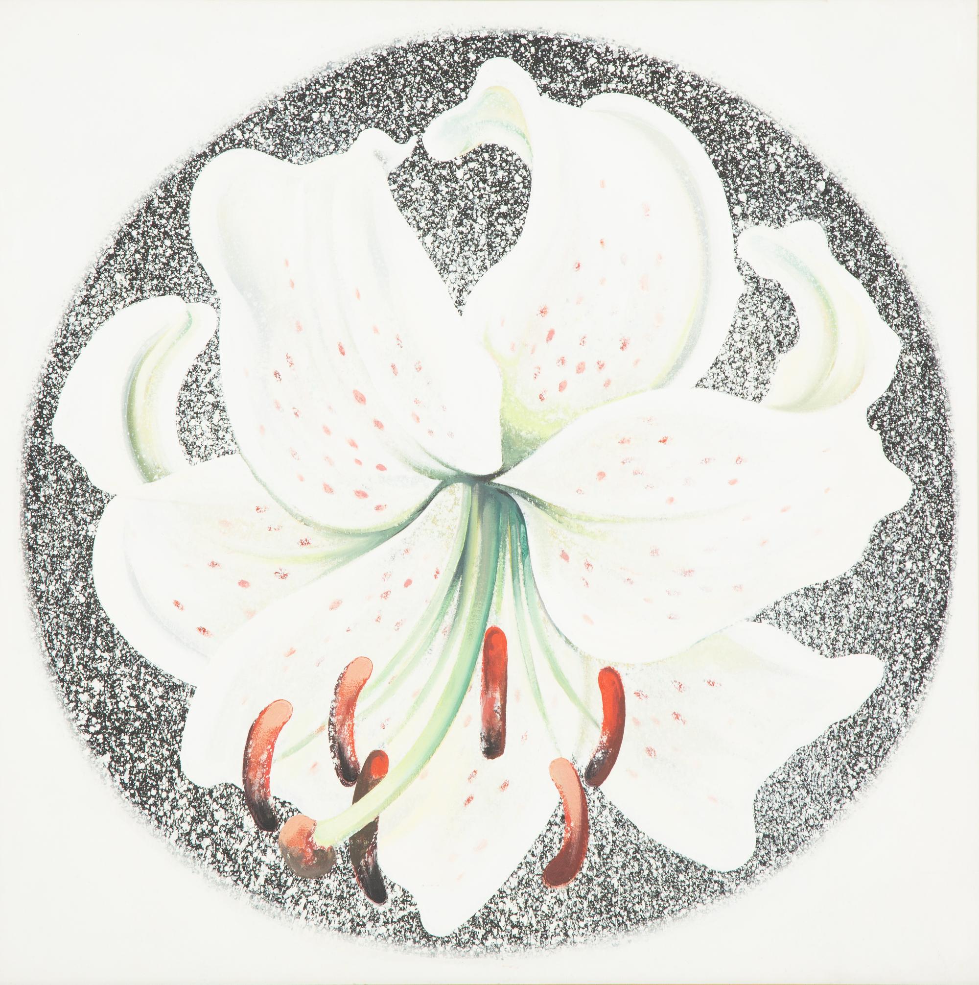 White Lily in Circle, 1982