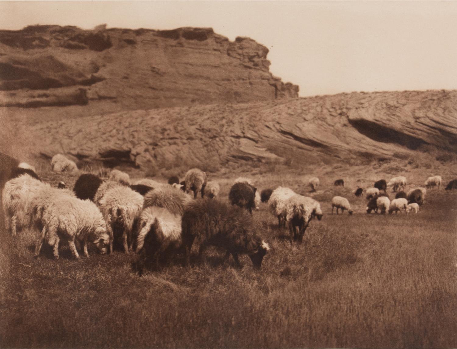 Navaho Flocks , Plate 33