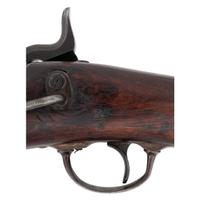 Composite Late Custer Range U.S. Springfield Model 1873 Saddle Ring Carbine