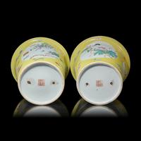 A Pair of Chinese Sgraffito Yellow Ground Famille Rose Porcelain Planters, 20th Century 近代 軋道黃地粉彩花鳥圖花盆一對