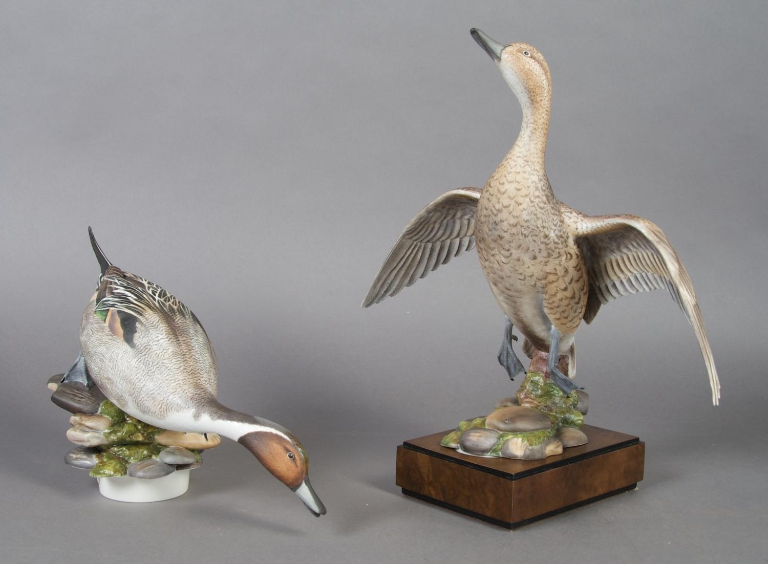 A Pair of Royal Worcester Birds, American Pintail, Height 13 inches.
