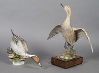 A Pair of Royal Worcester Birds, American Pintail, Height 13 inches.