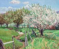 Taos Apple Blossoms